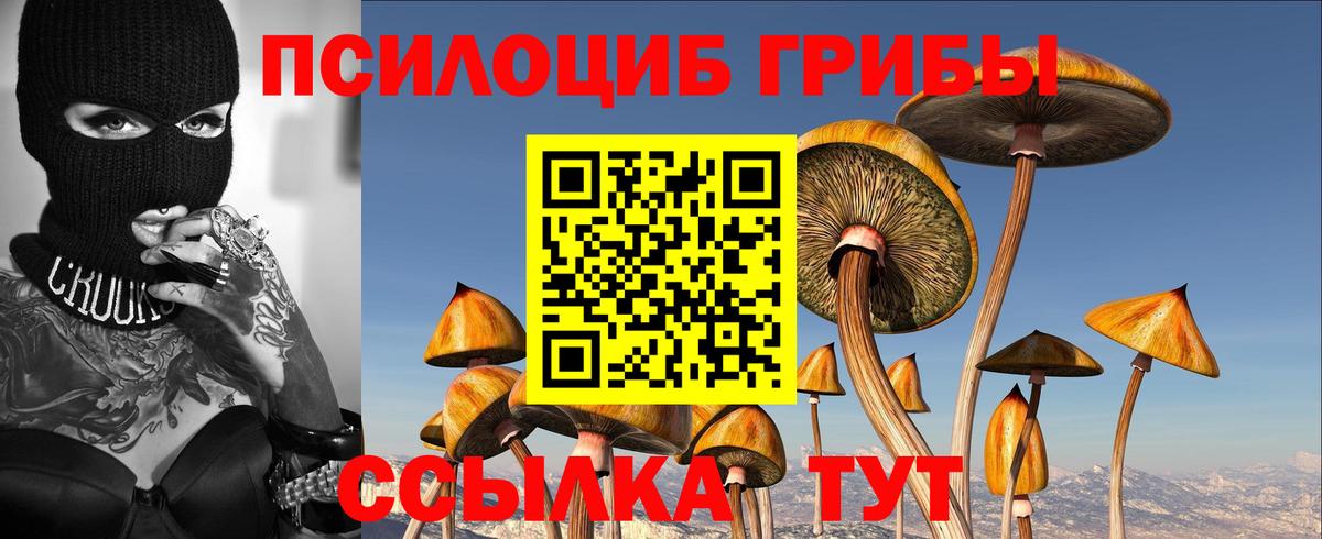 Псилоцибиновые грибы GOLDEN TEACHER Кувандык