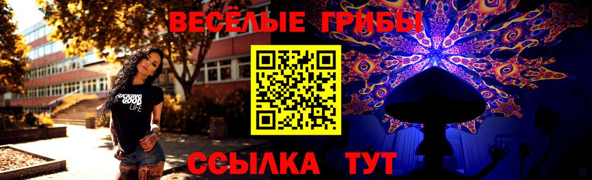 Псилоцибиновые грибы ЛСД  Вход с VPN  Кувандык  Галлюциногенные грибы ЛСД 